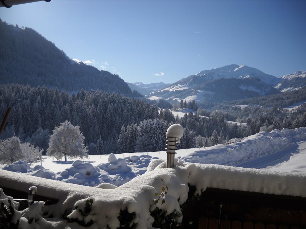 Apartment Schilcher Oberau Exterior foto